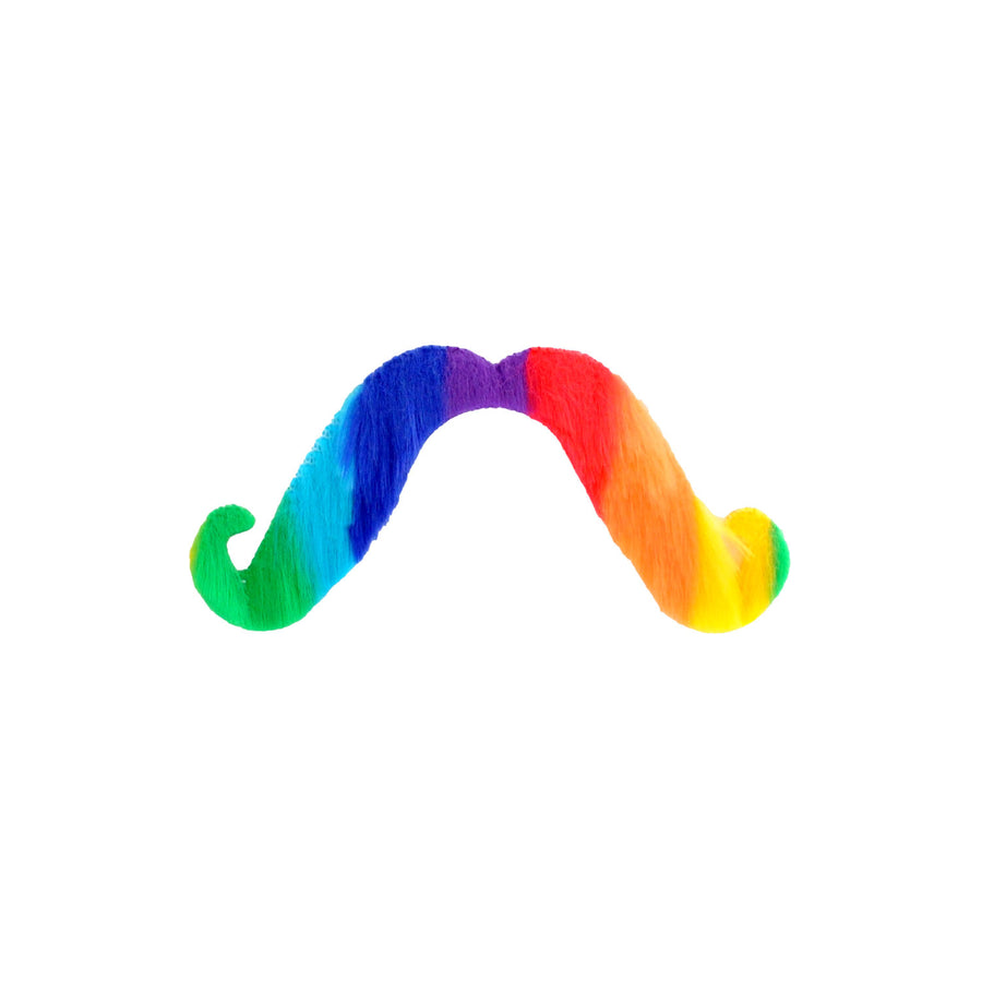 Rainbow Fancy Party Moustache