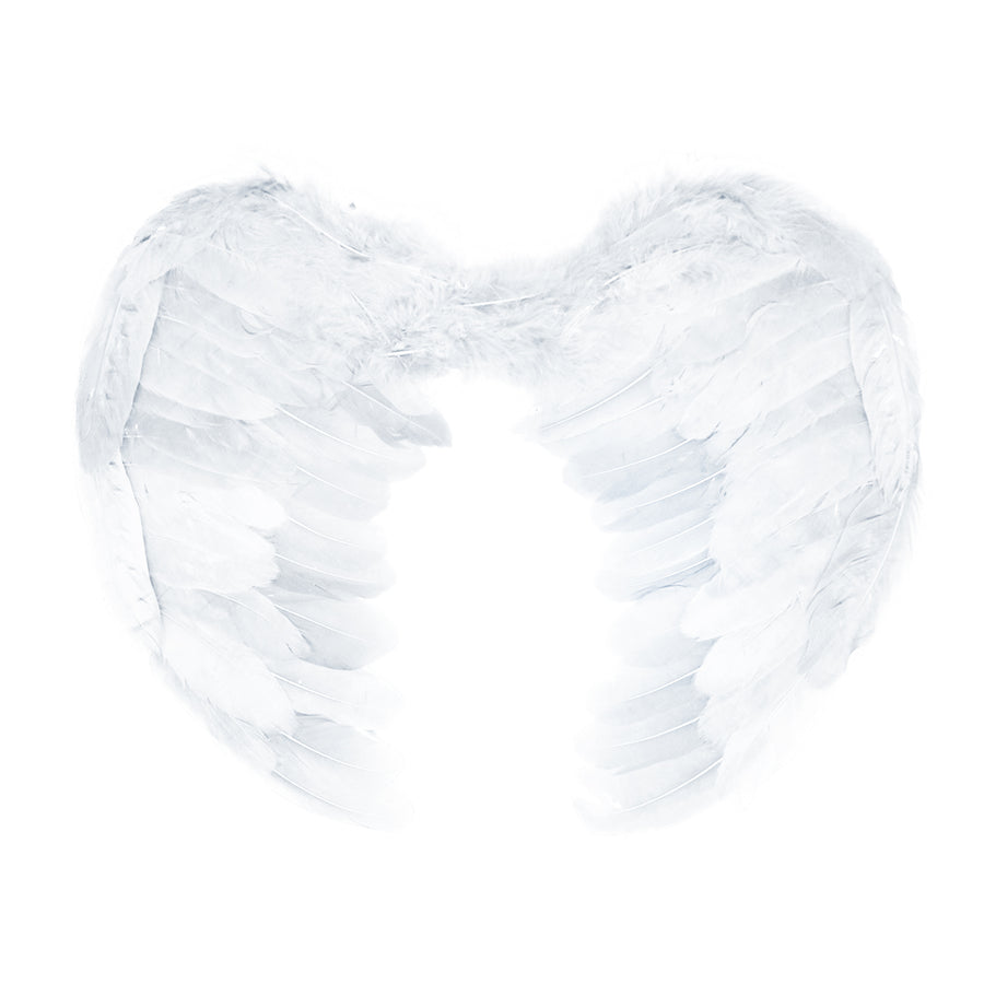 Angel Wing (White)