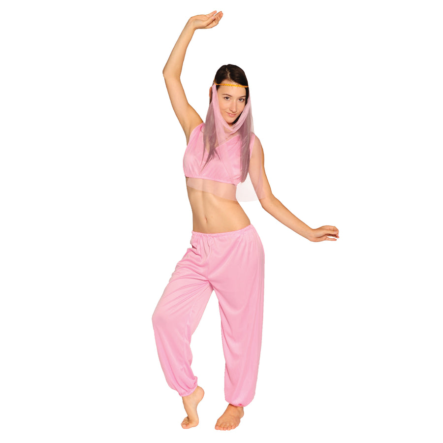 Adult Arabian Princess Costume (Pink)