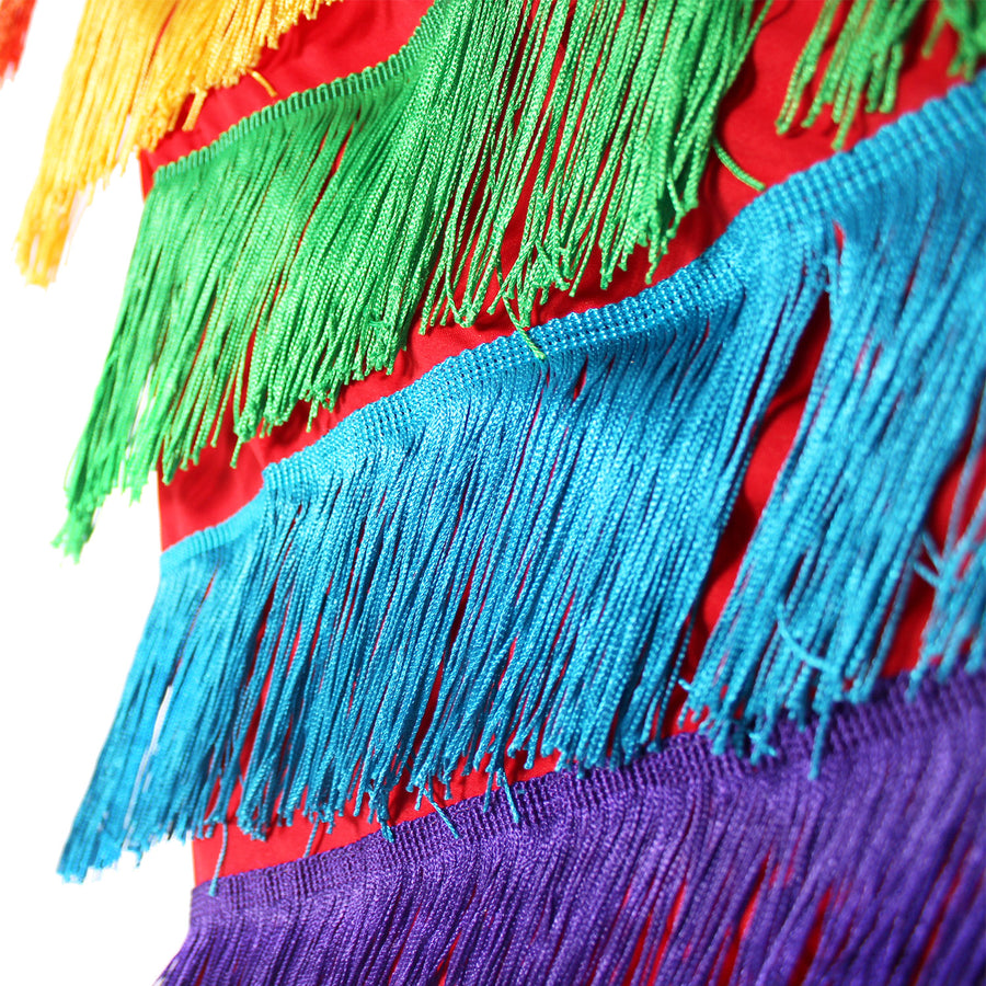 Adult Rainbow Fringed Dress