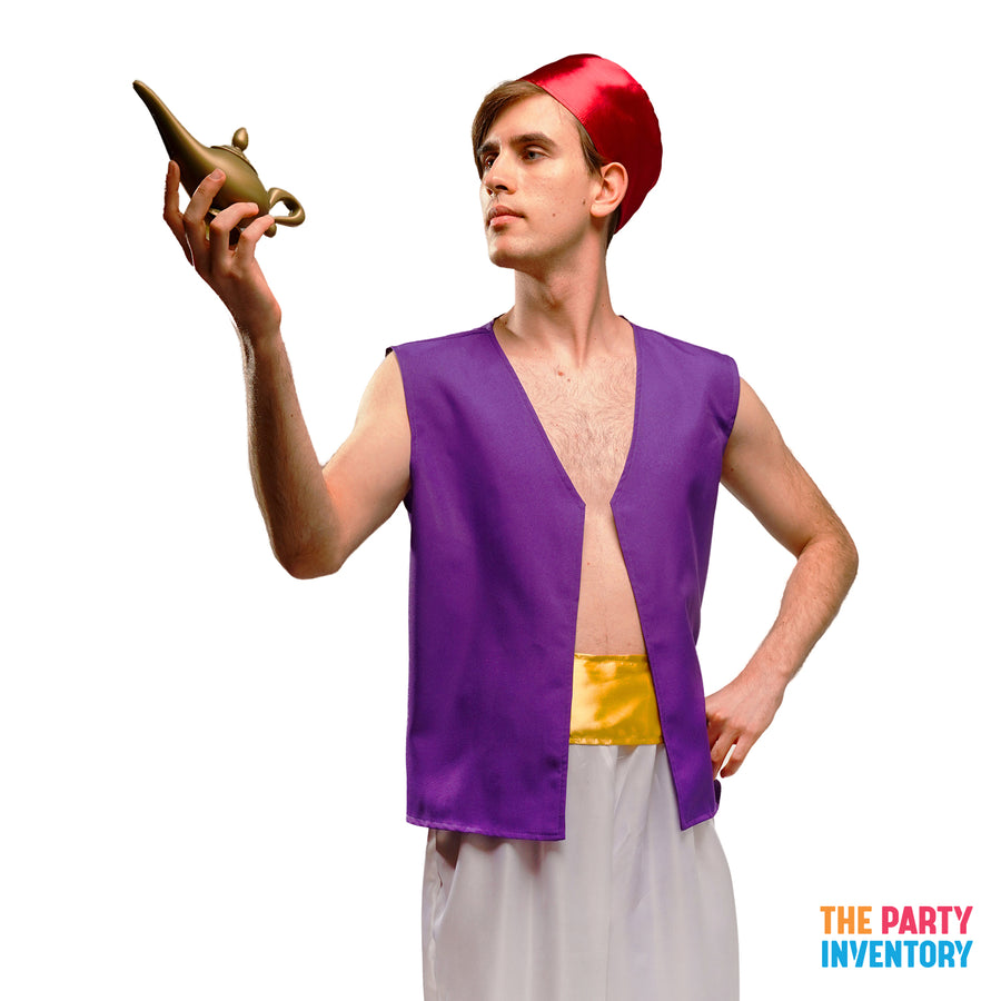 Adult Prince of Thieves Costume