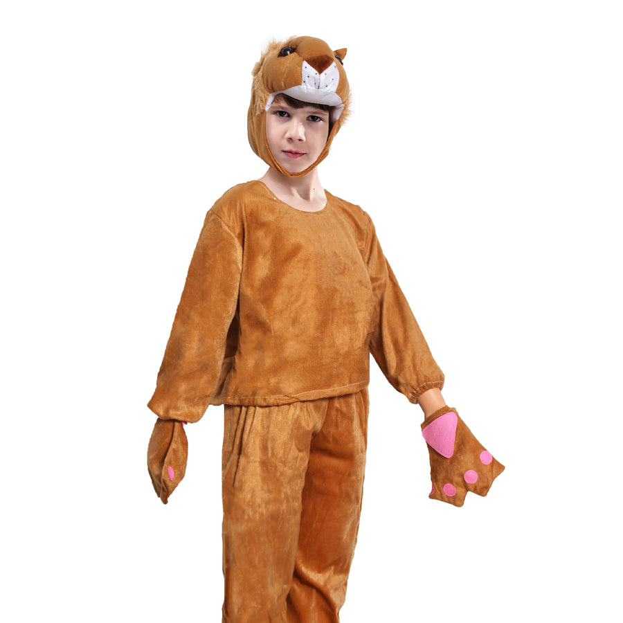 Children Lion Costume