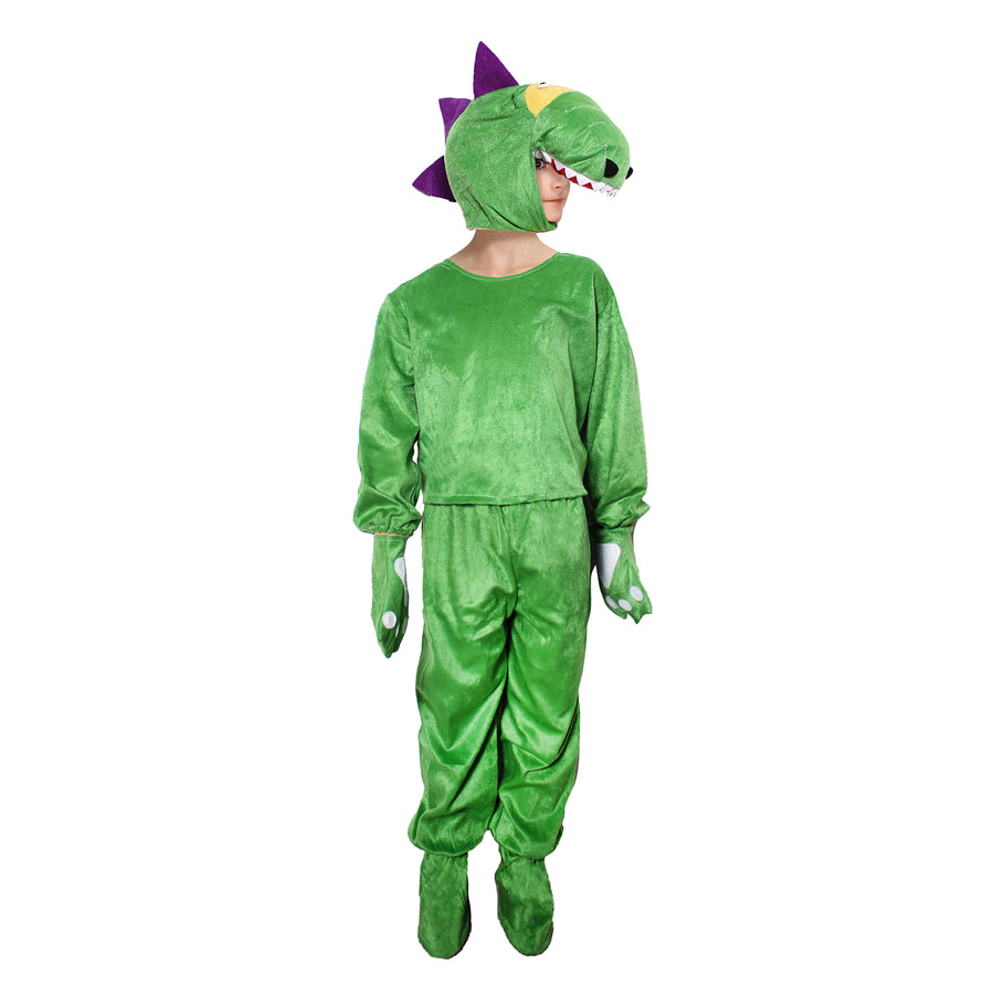 Children Dinosaur Dragon Costume