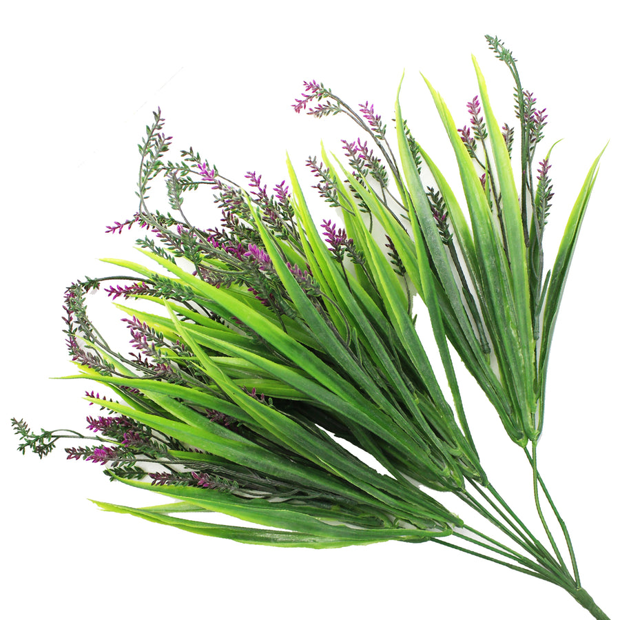 Long Leafy Lavender