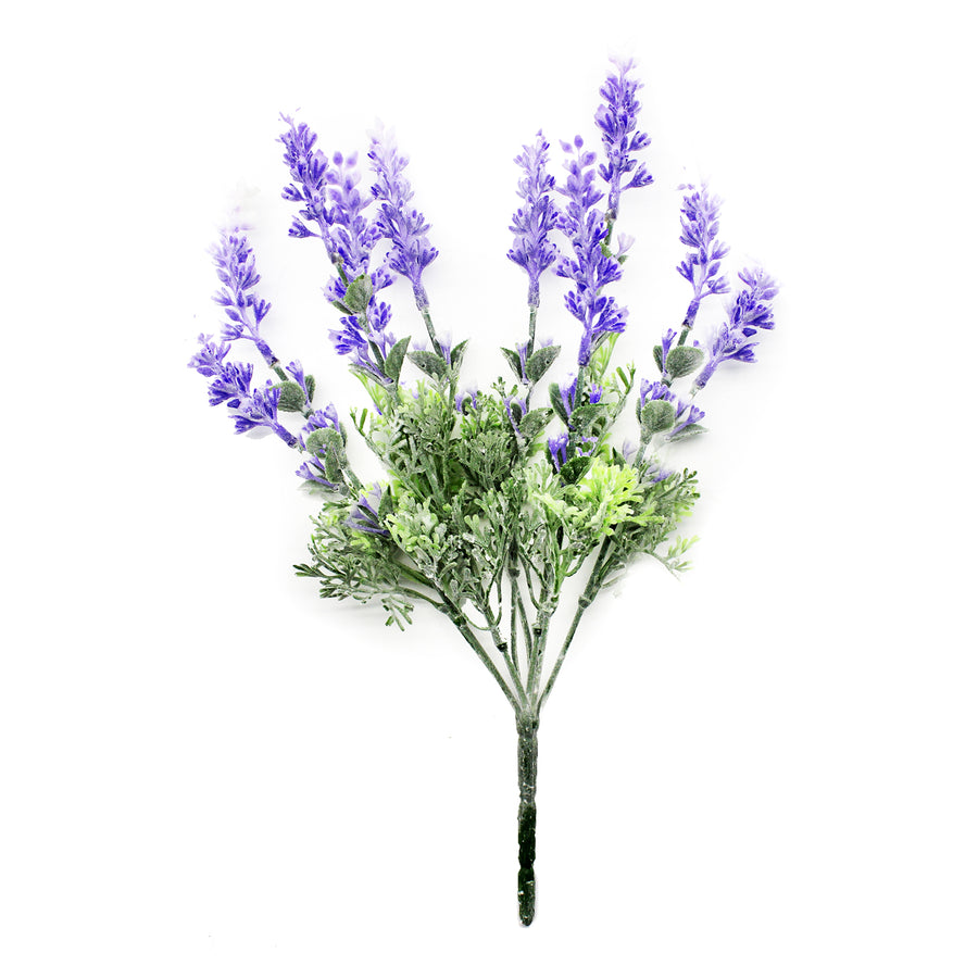 Lavender Plant