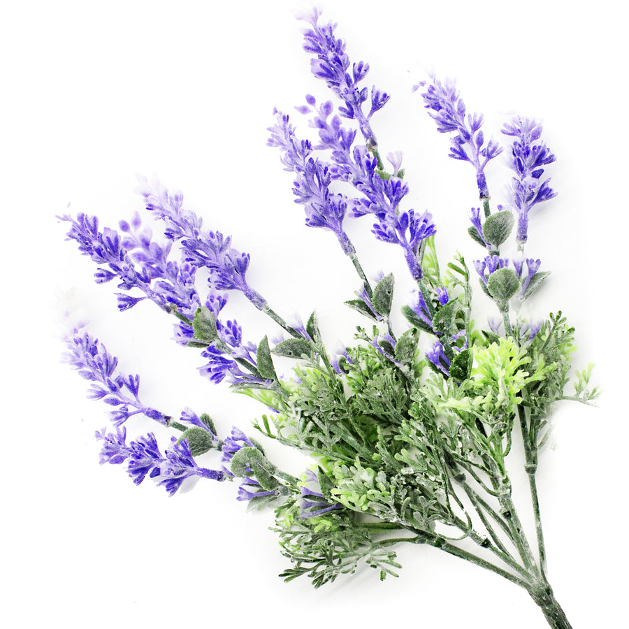 Lavender Plant