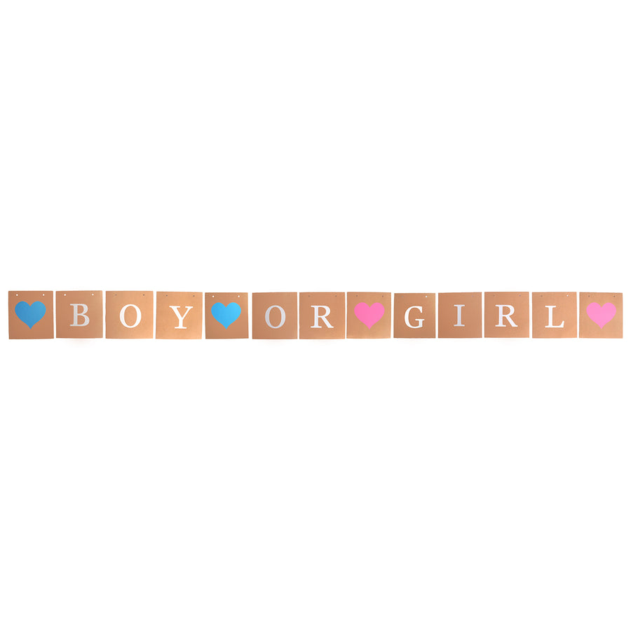 Boy or Girl Kraft Brown Banner