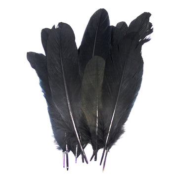 Small Black Craft Feathers