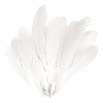 Small White Craft Feathers