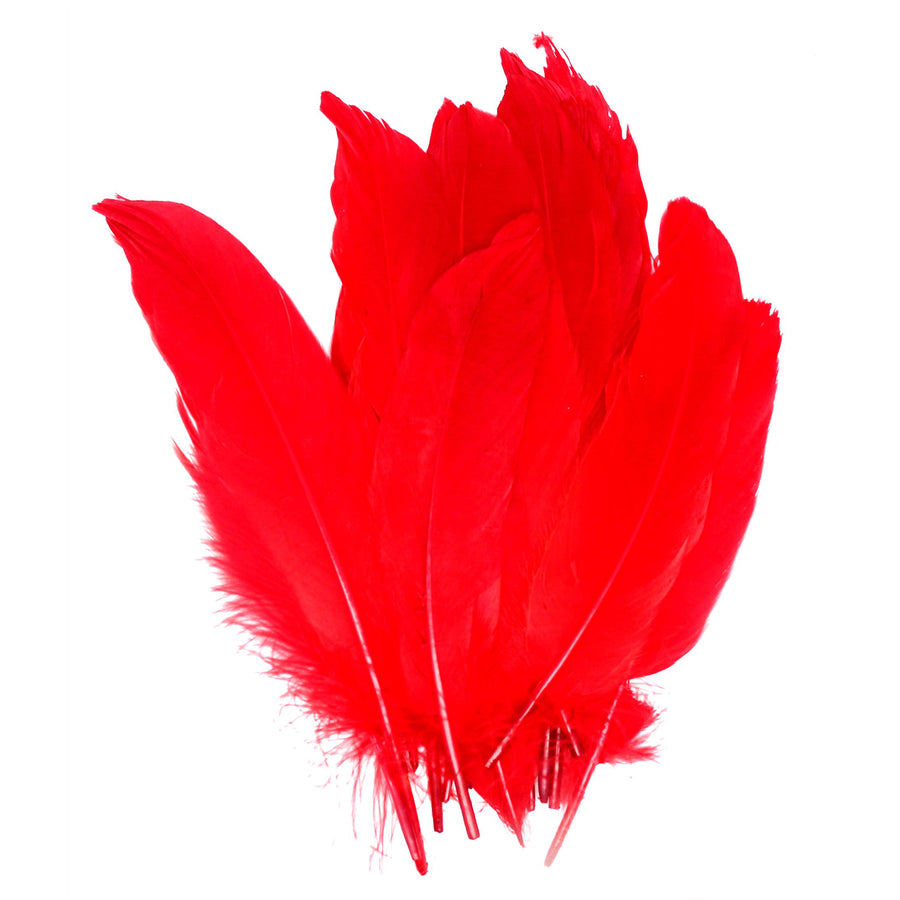 Small Red Craft Feathers