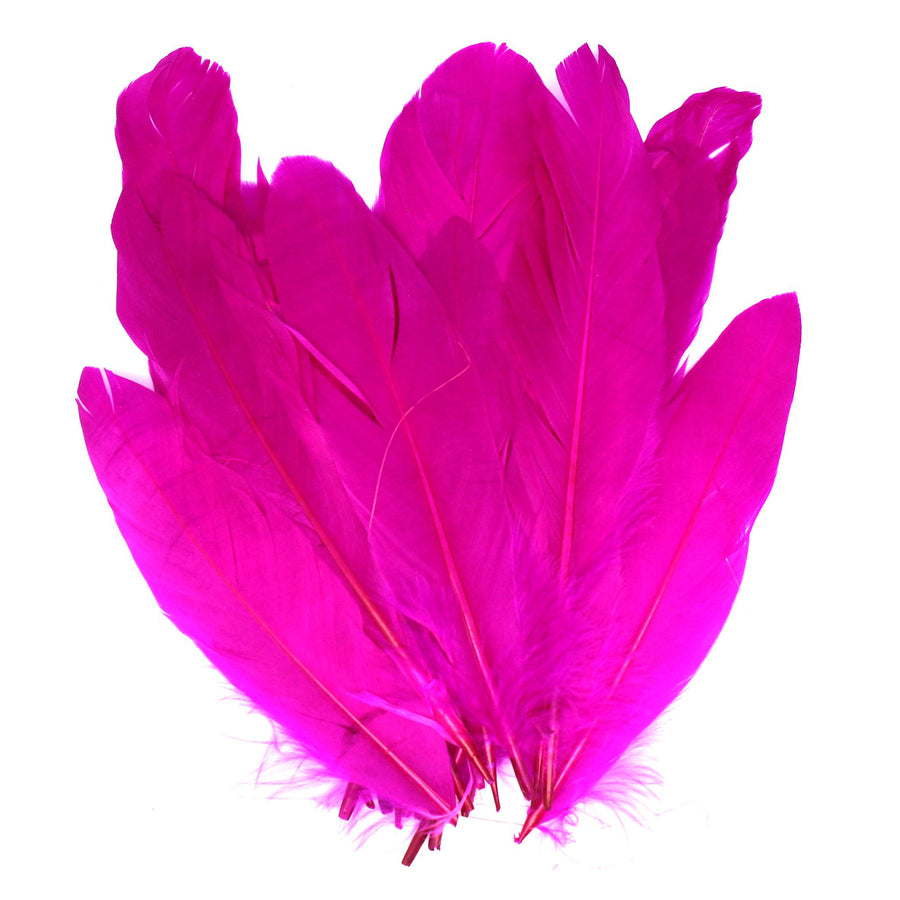 Small Hot Pink Craft Feathers