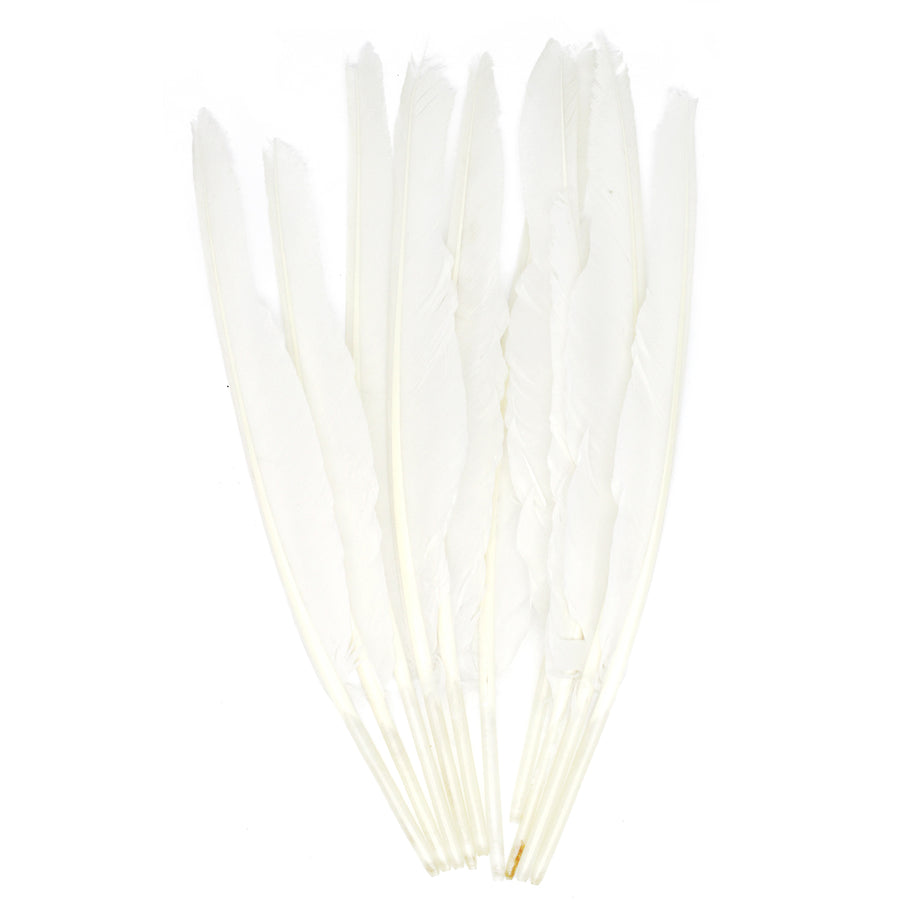 Large White Craft Feathers