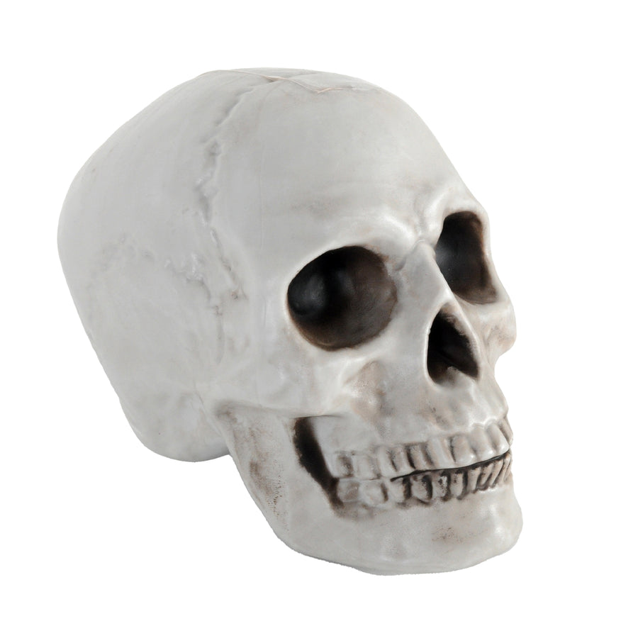 White Skull Prop (12x18cm)