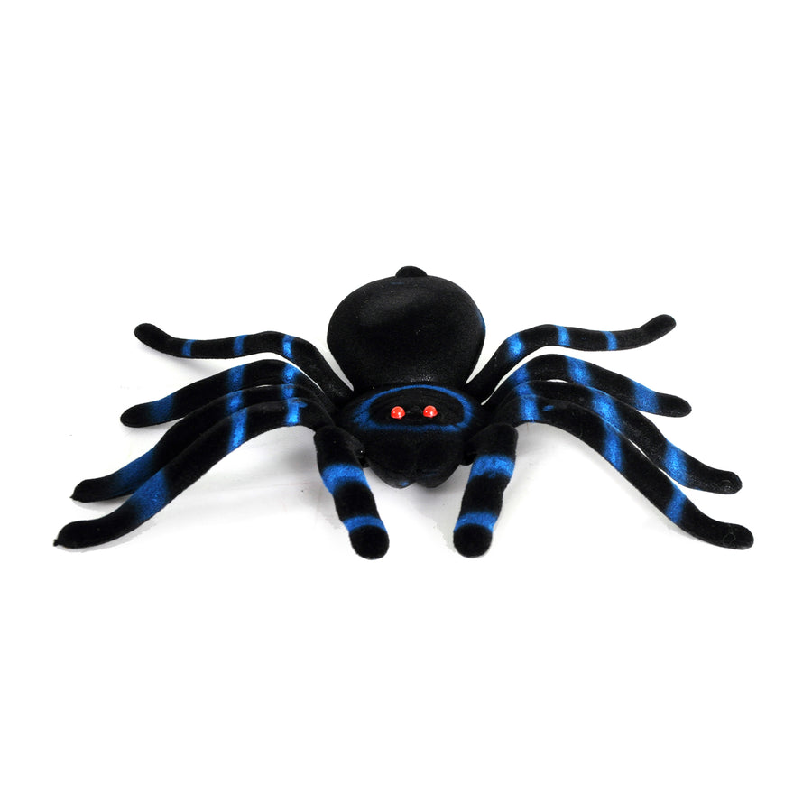 Large Flocked Spider with Blue Banding