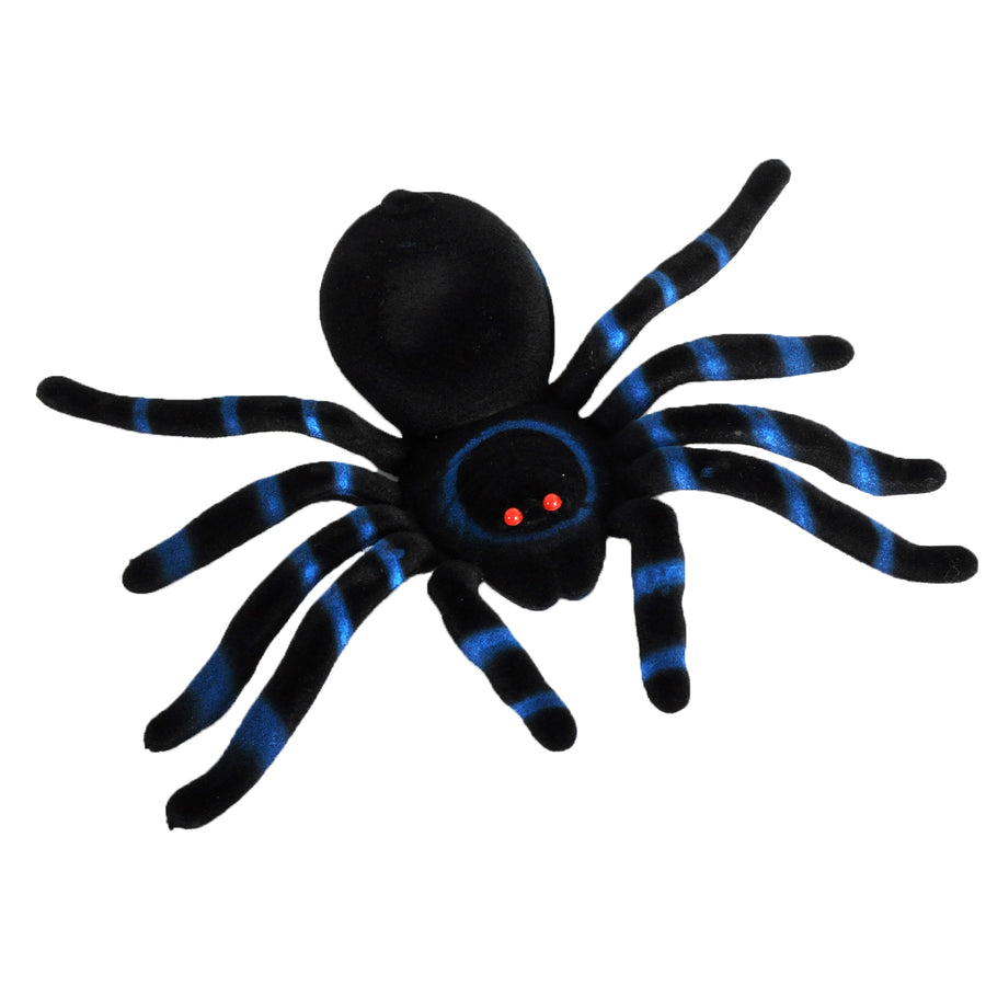 Large Flocked Spider with Blue Banding