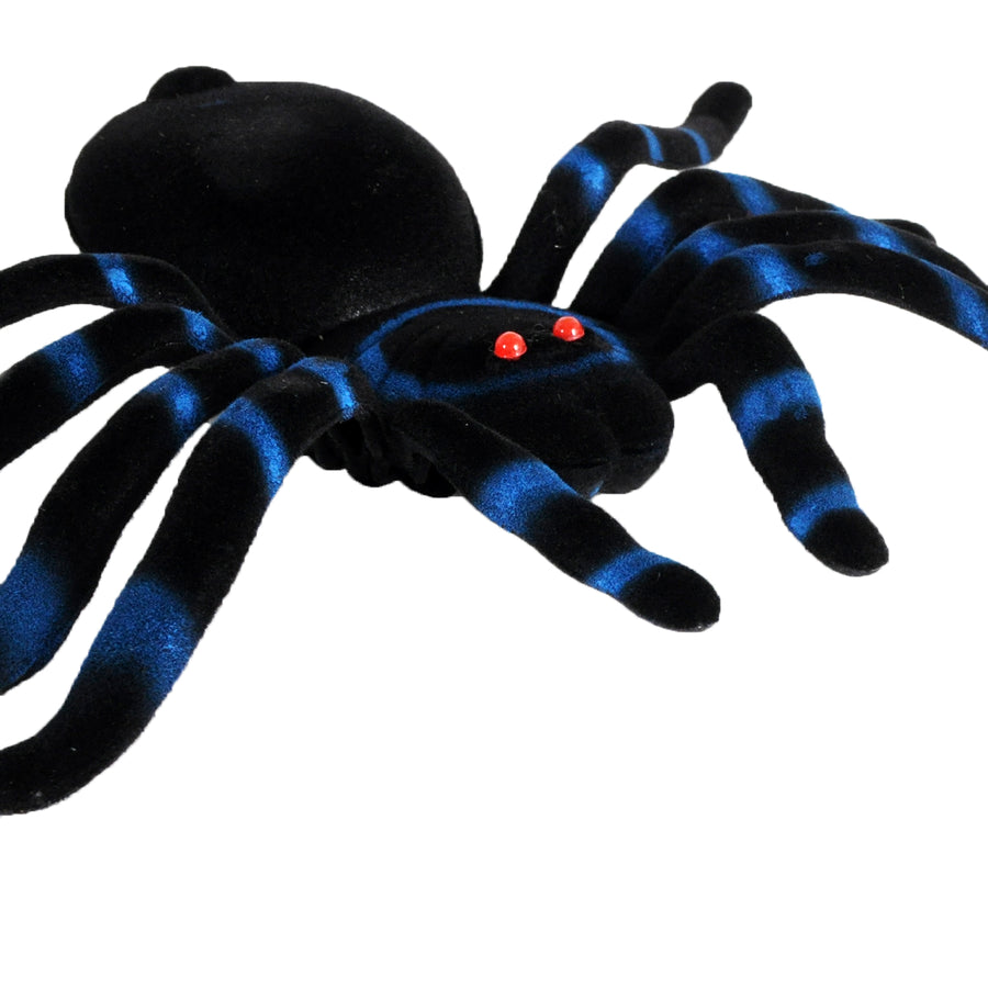 Large Flocked Spider with Blue Banding